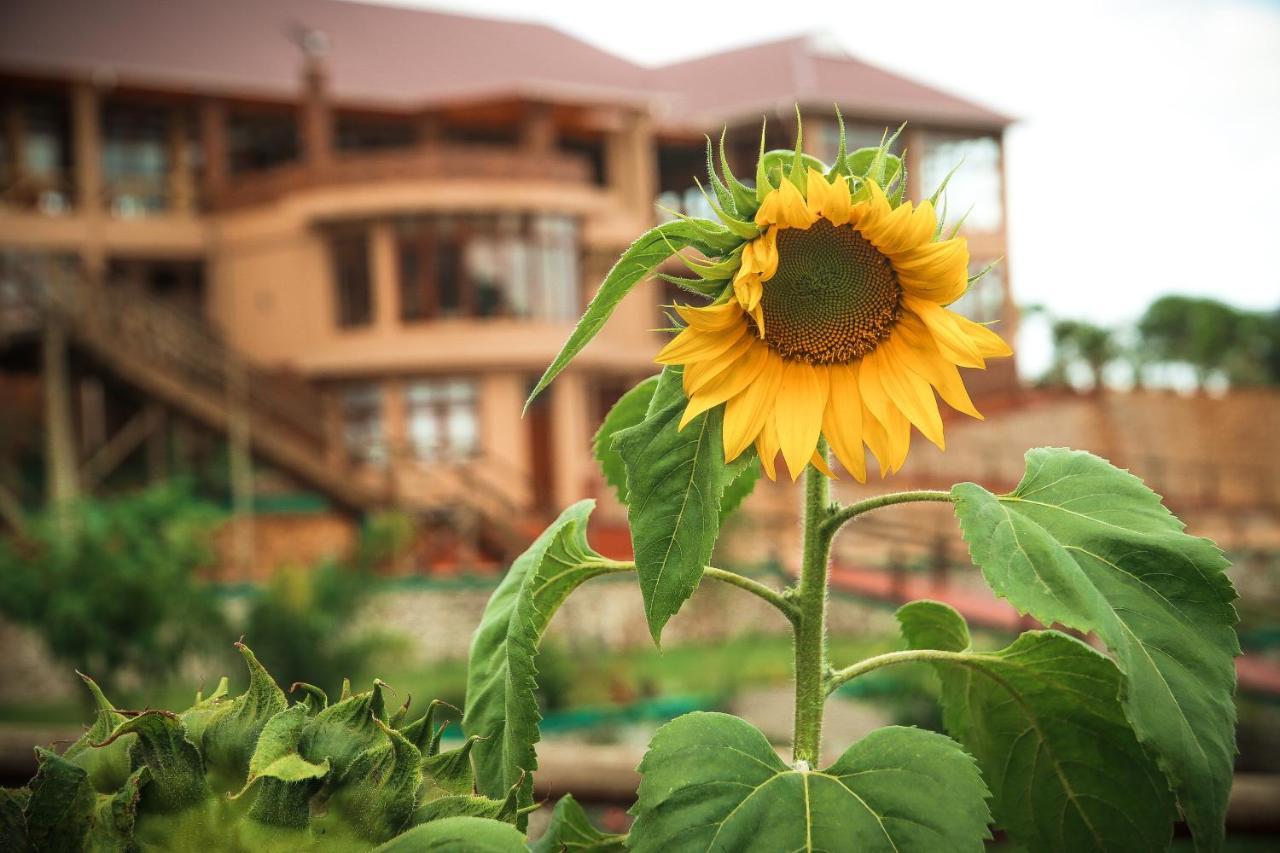 Ngorongoro Marera Mountain View Lodge Karatu Esterno foto