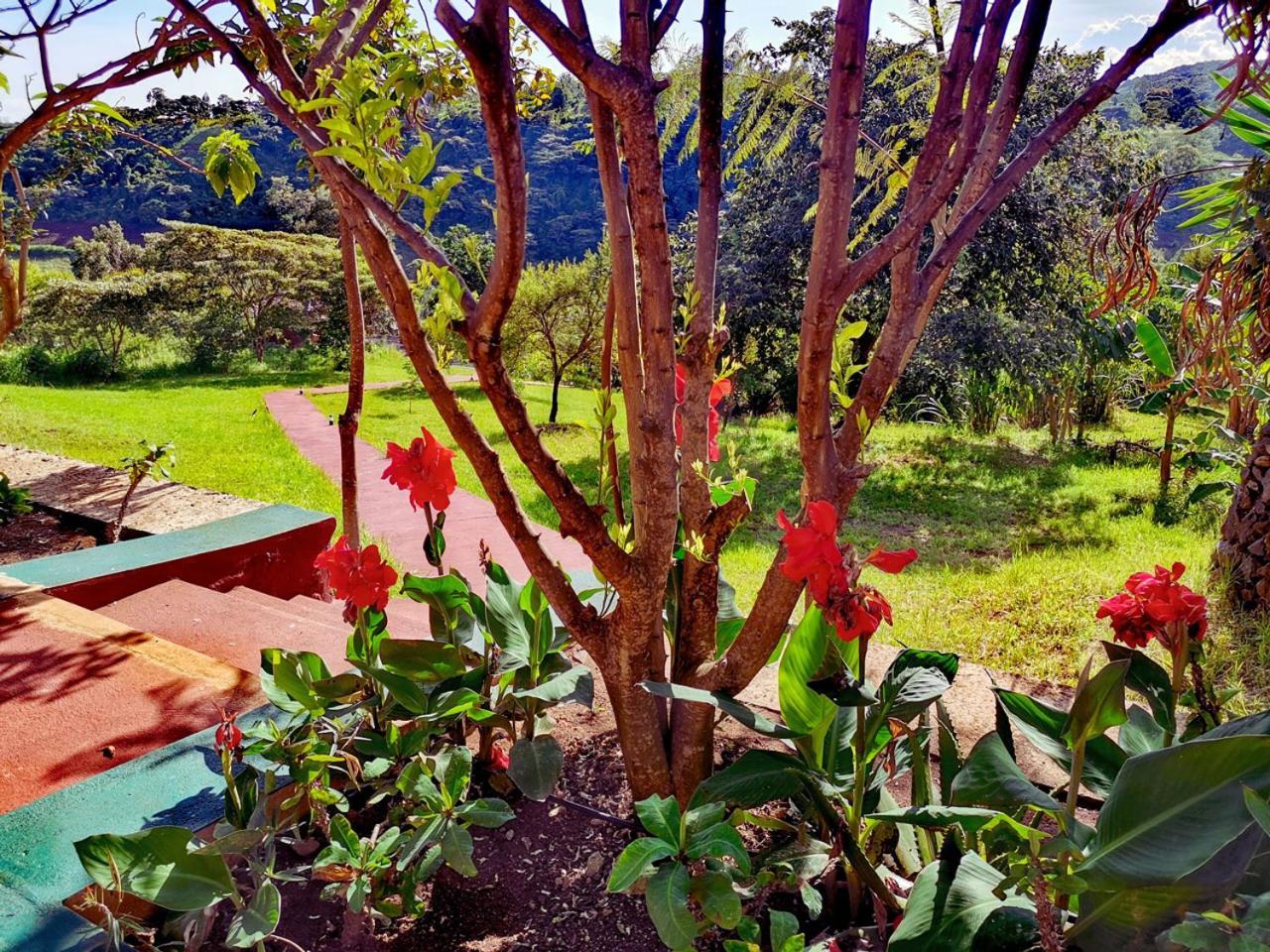Ngorongoro Marera Mountain View Lodge Karatu Esterno foto